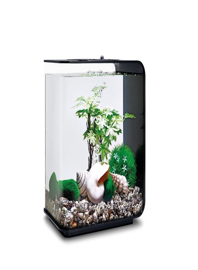 biOrb Decor Set 15L Summer, Multi, Small - Image 3